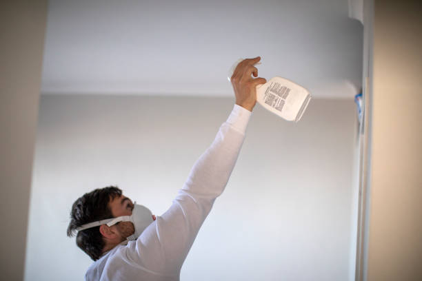 Best Professional Mold Removal  in Malad City, ID