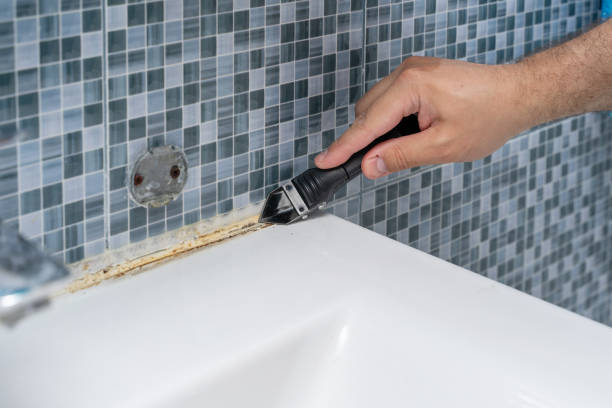 Best Mold Cleaning Services  in Malad City, ID